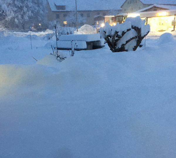 Chocnroll versinkt im Schnee